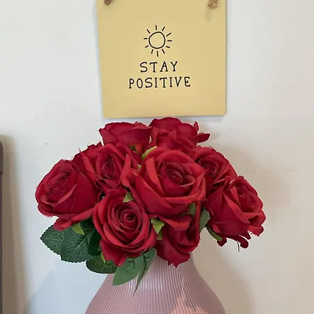 Appartement Sea Escape Comfortable 50m From The Middelkerke